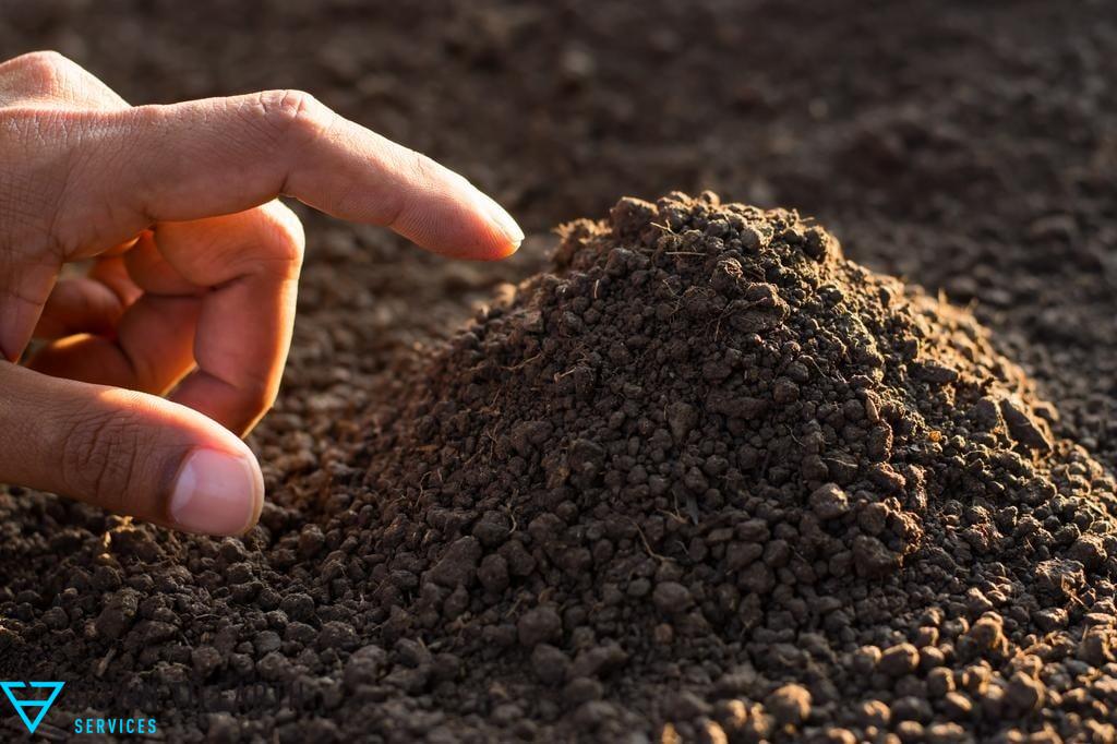 prepare soil for plants